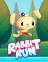 Rabbit run