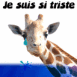 Girafe en larmes "Je suis si triste"