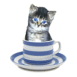 Chat mignon qui bouge la tte dans une tasse