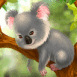 Koala mignon