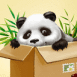 Bb Panda cach!