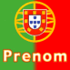 Drapeau portugais