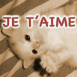 Chaton blanc sur le dos, spia, mention "Je t'aime"