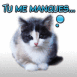 Chaton triste "Tu me manques..."