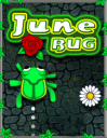 June bug