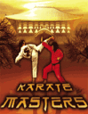 Karate Masters