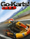 Go Karts 3D