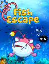 Fish escape